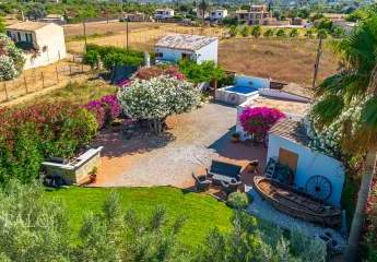 462196-Vorschaubild2