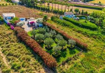 462196-Vorschaubild3