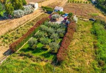 462196-Vorschaubild4