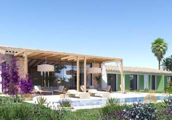 462199-Vorschaubild3