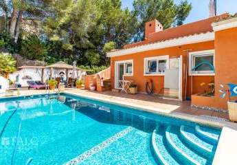 462201-Vorschaubild2