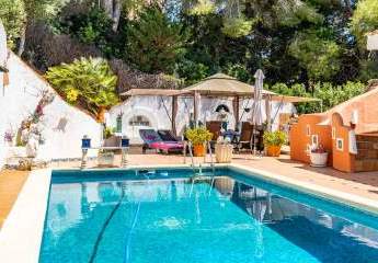 462201-Vorschaubild3