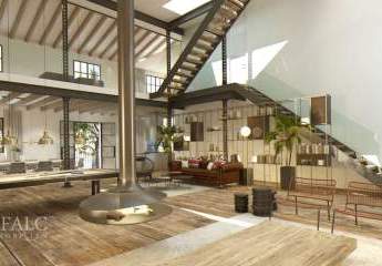 462227-Vorschaubild3