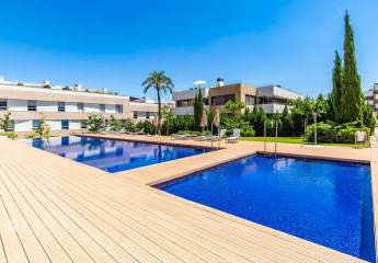 462229-Vorschaubild2