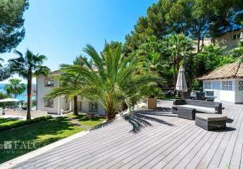 462230-Vorschaubild4