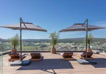 462239-Vorschaubild3