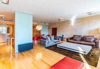 462243-Vorschaubild3