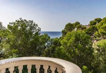 462244-Vorschaubild2