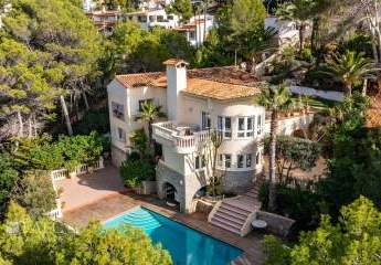 462244-Vorschaubild3