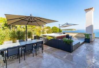 462245-Vorschaubild3