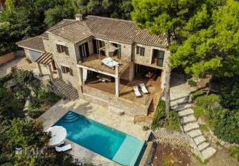 462249-Vorschaubild2