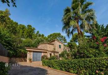 462249-Vorschaubild3