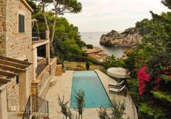 462249-Vorschaubild4