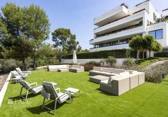 462255-Vorschaubild3