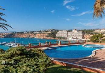 462260-Vorschaubild3