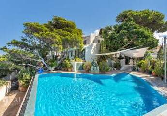 462261-Vorschaubild3