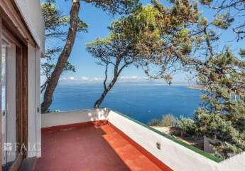 462261-Vorschaubild4