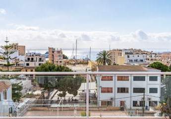 462307-Vorschaubild3