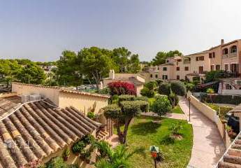 462314-Vorschaubild2