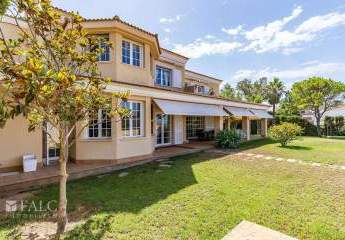 462325-Vorschaubild2