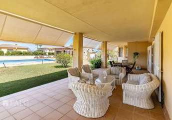 462325-Vorschaubild3