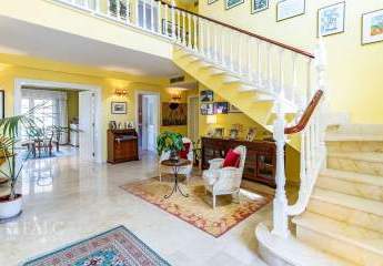 462325-Vorschaubild4