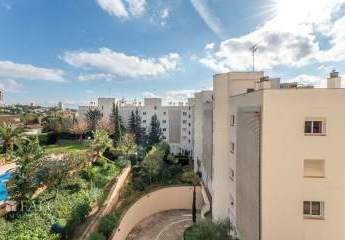 462330-Vorschaubild2