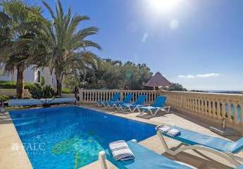 462339-Vorschaubild4