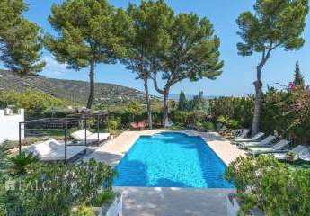 462351-Vorschaubild2