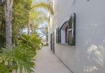 462352-Vorschaubild3