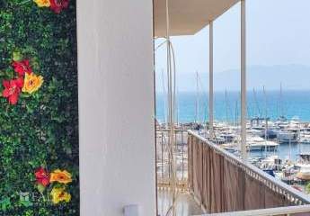 426233-Vorschaubild2