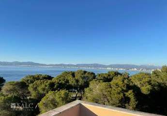 462451-Vorschaubild4