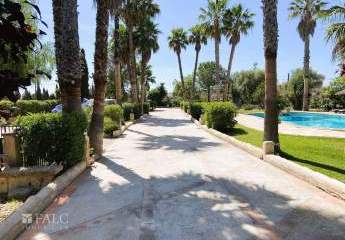 460515-Vorschaubild2