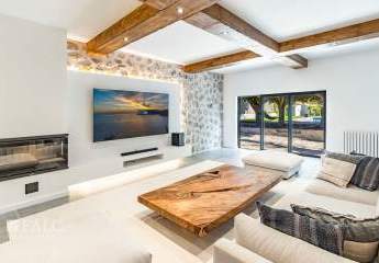 462515-Vorschaubild3