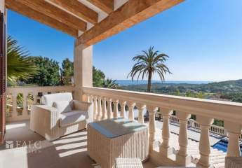 462641-Vorschaubild4