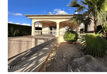 456142-Vorschaubild4