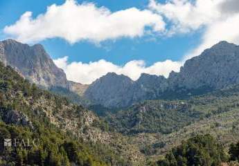 462650-Vorschaubild2