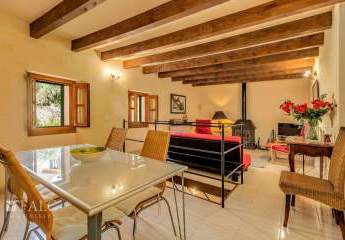 462650-Vorschaubild3