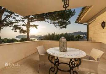 462655-Vorschaubild2