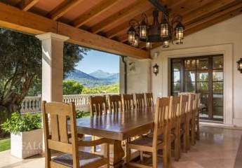 462655-Vorschaubild3