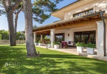 462655-Vorschaubild4