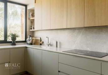 462656-Vorschaubild4