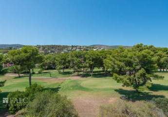 462665-Vorschaubild3