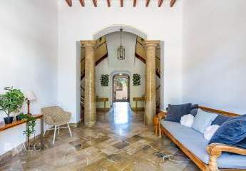 462672-Vorschaubild3