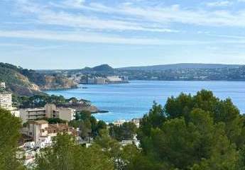 444184-Vorschaubild3