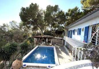 444184-Vorschaubild4