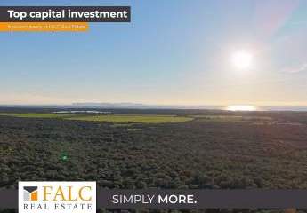 Weite, Stille, Horizont – Ein Baugrundstück  mit genehmigtem Projekt am Naturschutzgebiet