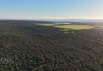 462987-Vorschaubild2