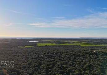 462987-Vorschaubild3