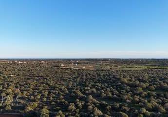 462987-Vorschaubild4